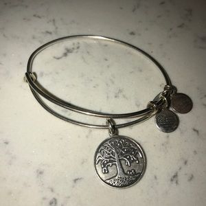Alex and Ani Bracelet (Tree of Life)